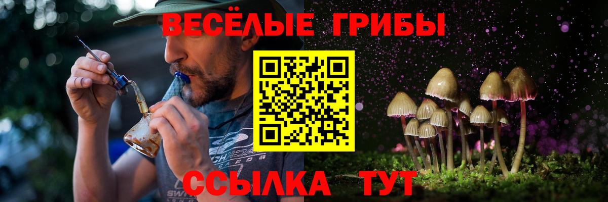 Зеленокумск  Галлюциногенные грибы прущие грибы  Вход с VPN  Псилоцибиновые грибы Psilocybe 